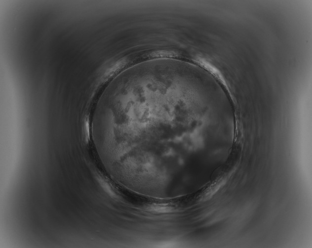 X0000087710061200705041106