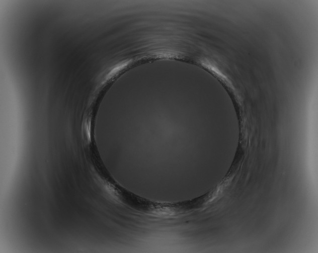 X0000087710062200705041106