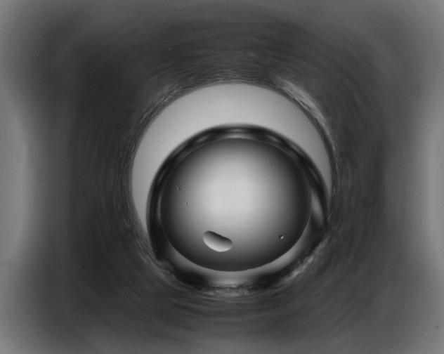 X0000087710065200705041106