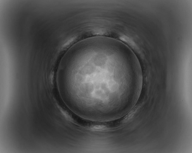 X0000087710066200705041106