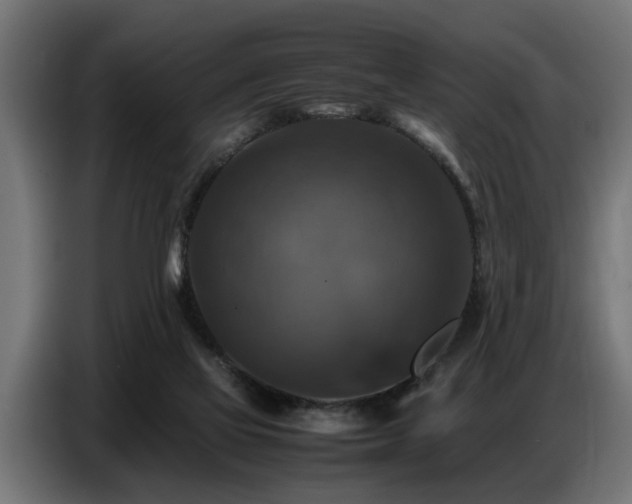 X0000087710069200705041106