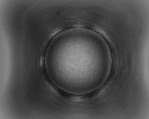 X0000087710071200705041106