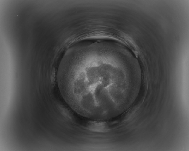 X0000087710073200705041106