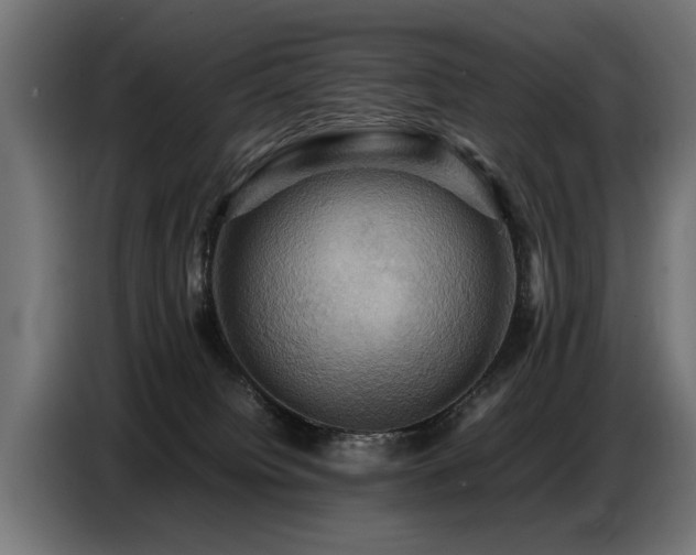 X0000087710084200705041106