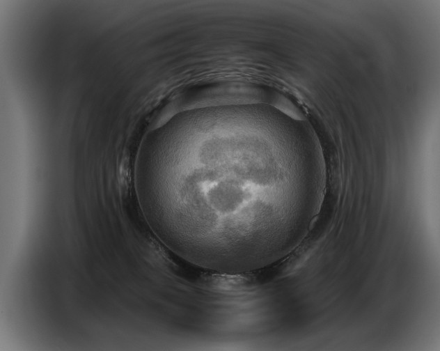X0000087710085200705041106