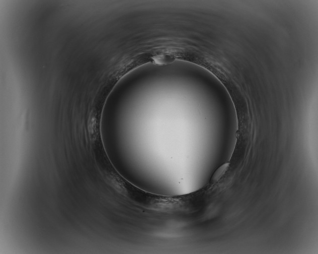 X0000087710087200705041106