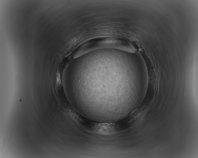 X0000087710089200705041106