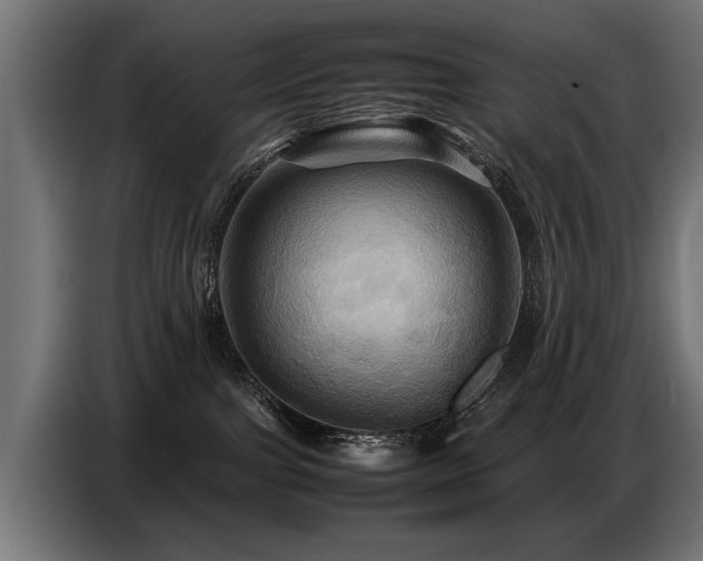 X0000087710091200705041106