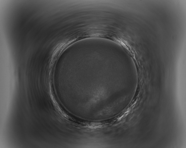 X0000087710097200705041106