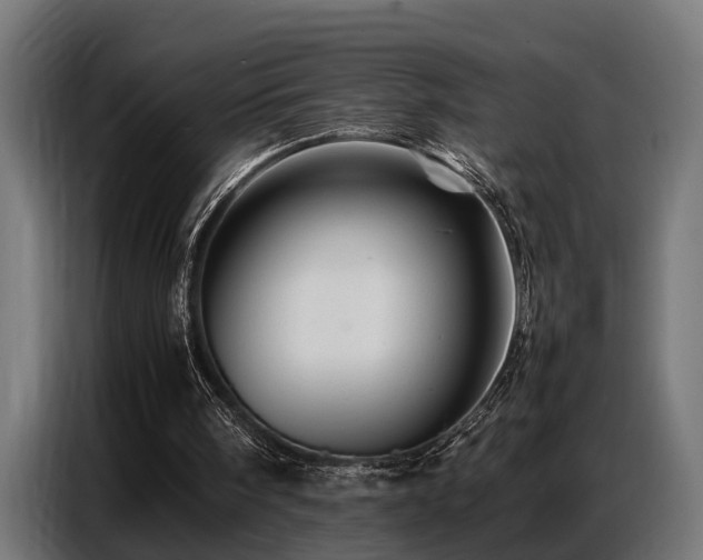 X0000087710098200705041106