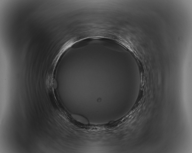 X0000087710099200705041106