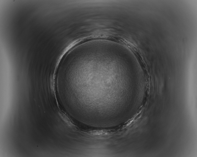 X0000087710100200705041106