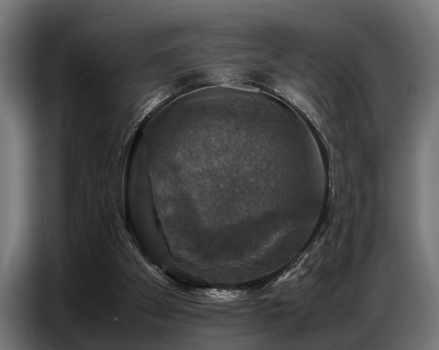 X0000087710105200705041106