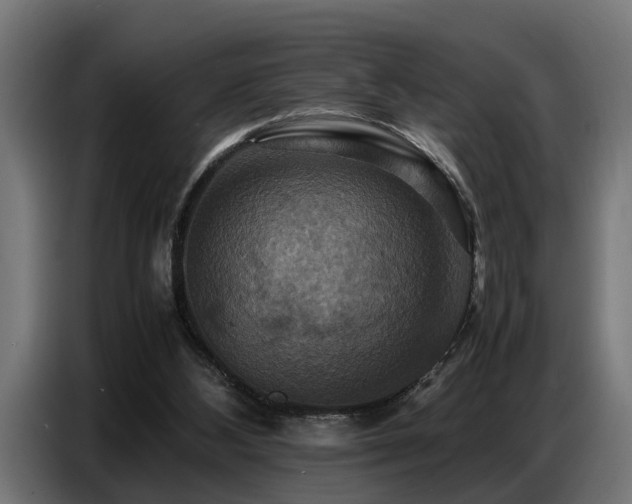 X0000087710108200705041106