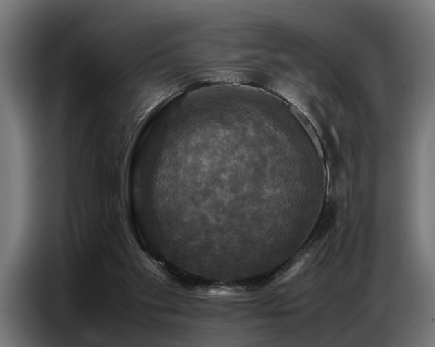X0000087710109200705041106