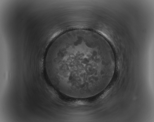 X0000087710111200705041105