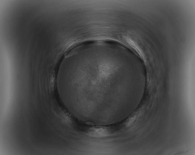 X0000087710113200705041105