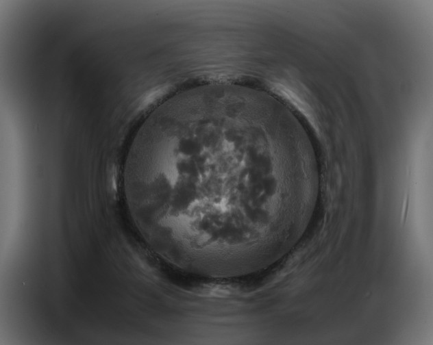 X0000087710115200705041105