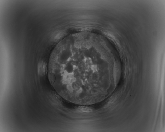 X0000087710123200705041105