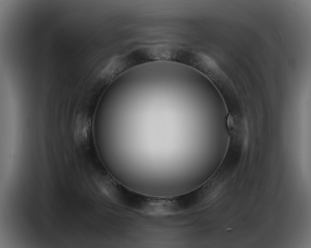 X0000087710125200705041105