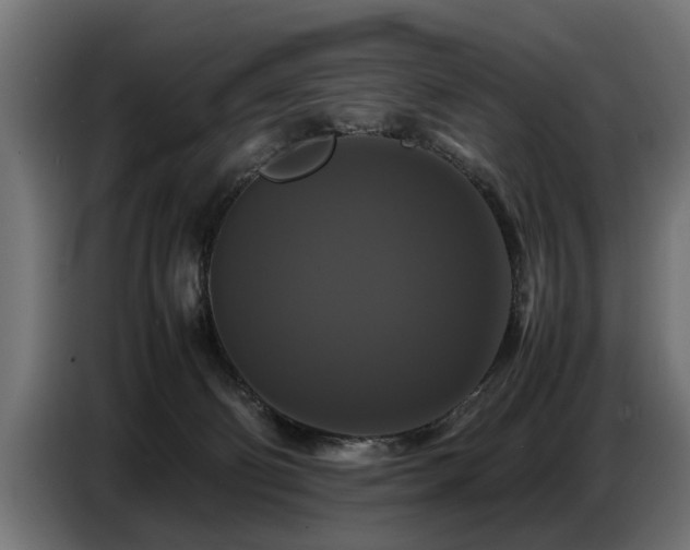 X0000087710130200705041105