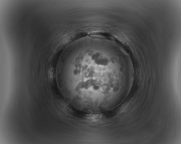 X0000087710135200705041105