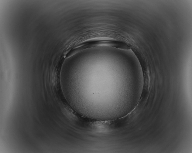 X0000087710136200705041105