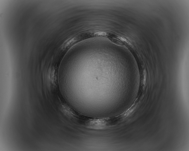 X0000087710140200705041105