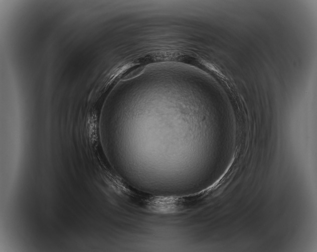 X0000087710144200705041105