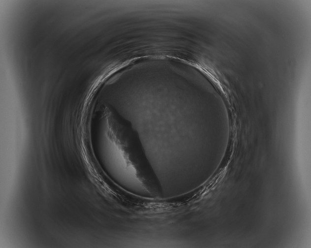 X0000087710145200705041105