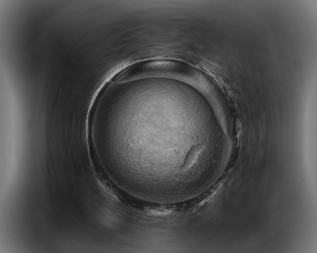 X0000087710148200705041105