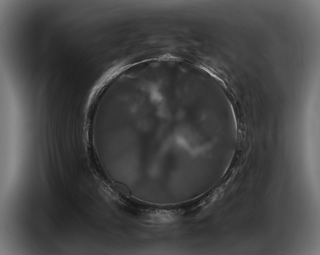 X0000087710149200705041105