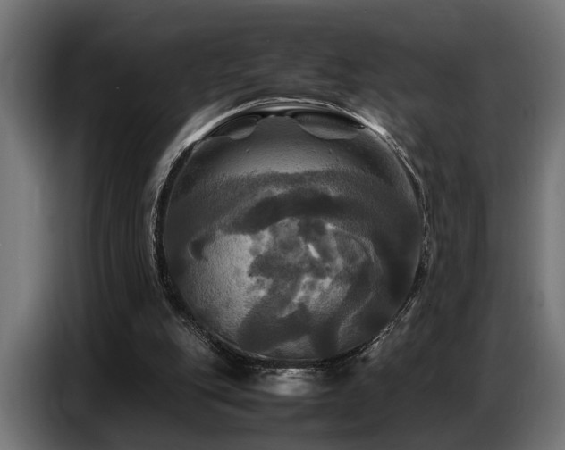 X0000087710151200705041105