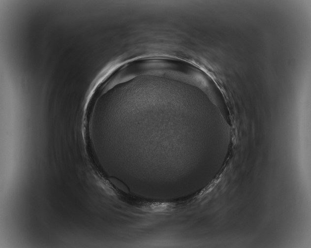 X0000087710152200705041105