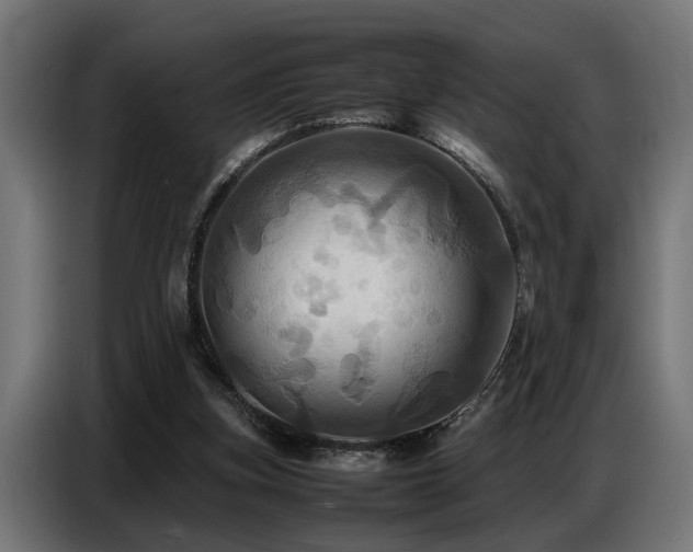 X0000087710155200705041105