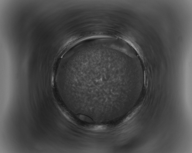 X0000087710157200705041105
