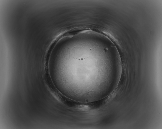 X0000087710159200705041105