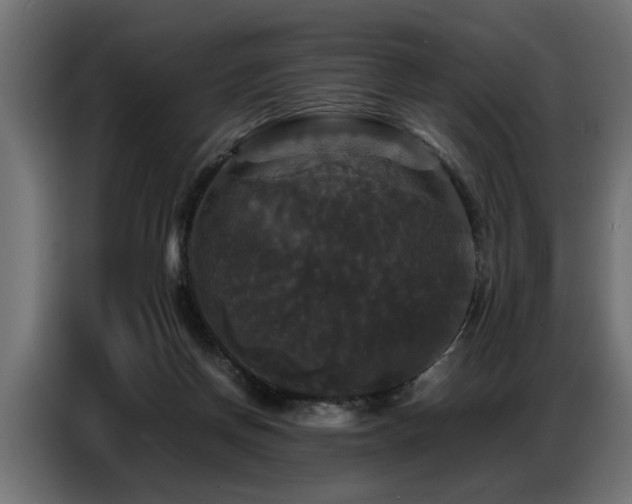 X0000087710166200705041105