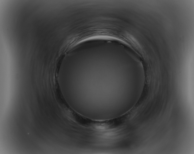 X0000087710169200705041105