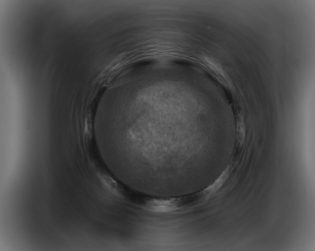 X0000087710170200705041105