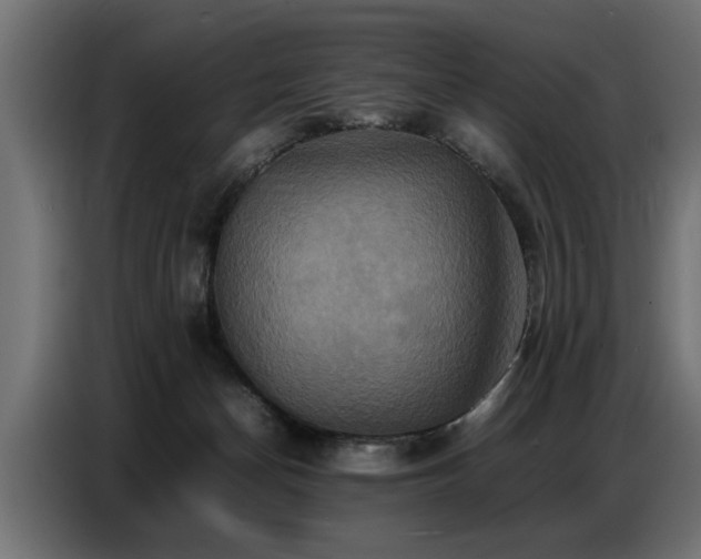 X0000087710174200705041105