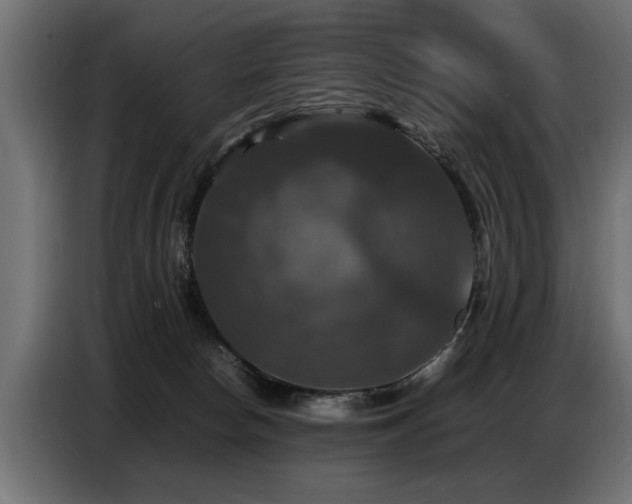 X0000087710178200705041105