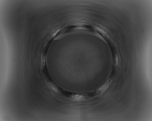 X0000087710180200705041105