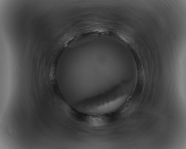 X0000087710181200705041105
