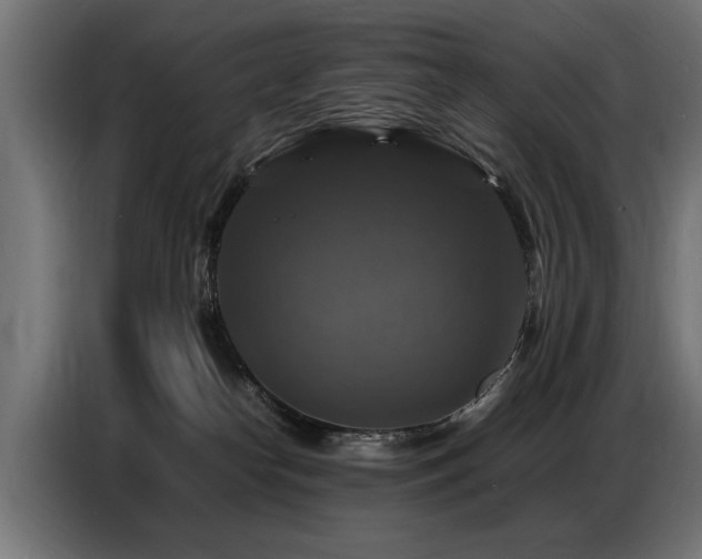 X0000087710182200705041105