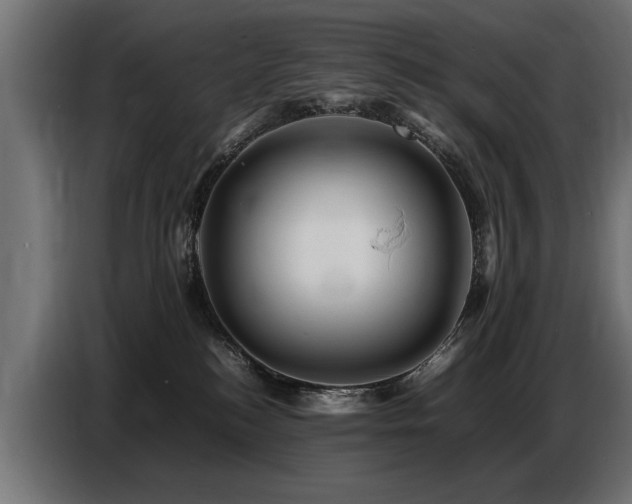 X0000087710184200705041105