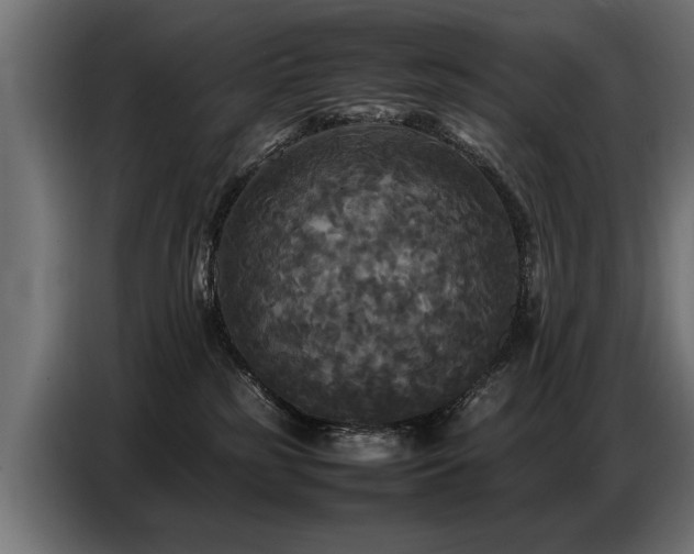 X0000087710185200705041105