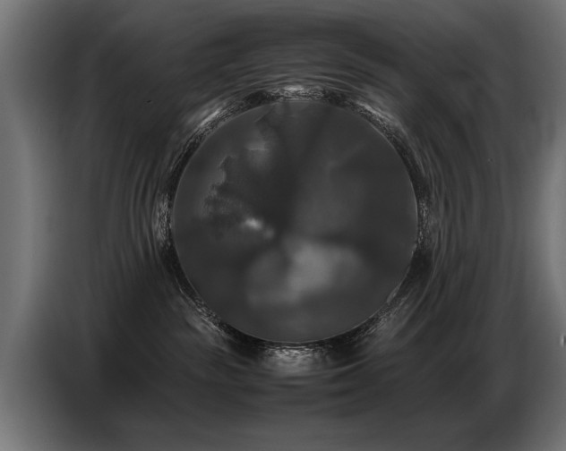 X0000087710189200705041105