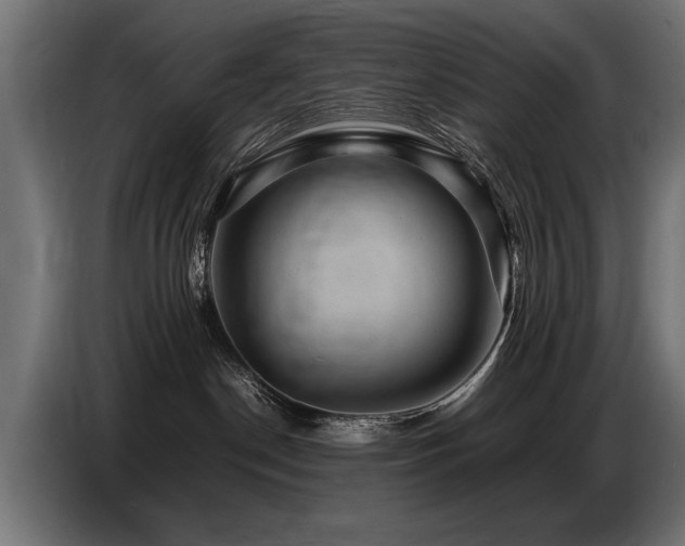 X0000087710190200705041105