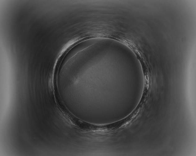 X0000087710196200705041105